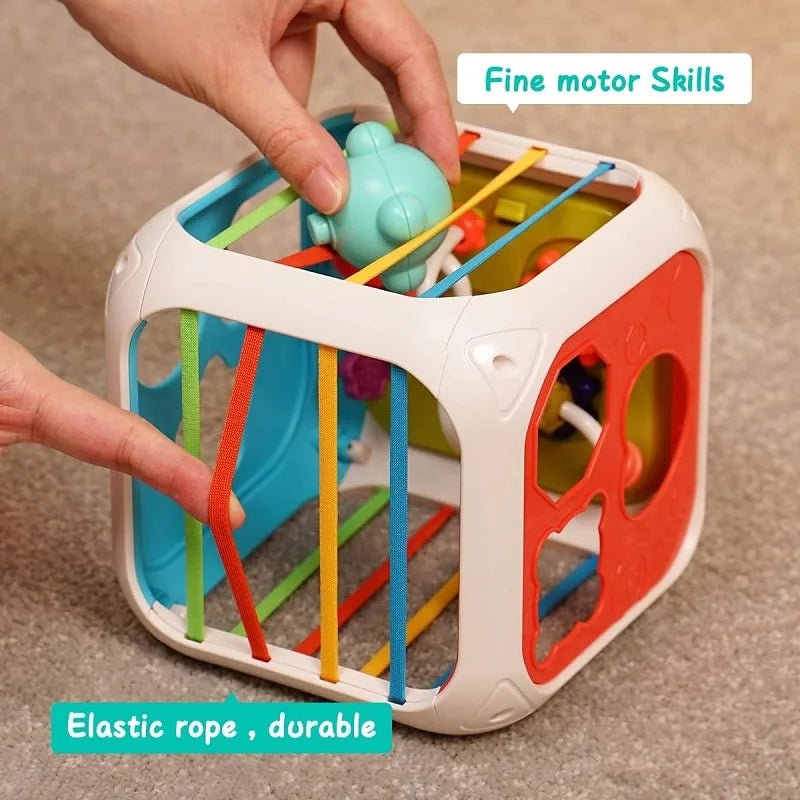 Jouet Montessori bébé 7-en-1 – Boîte sensorielle à formes avec cordes élastiques