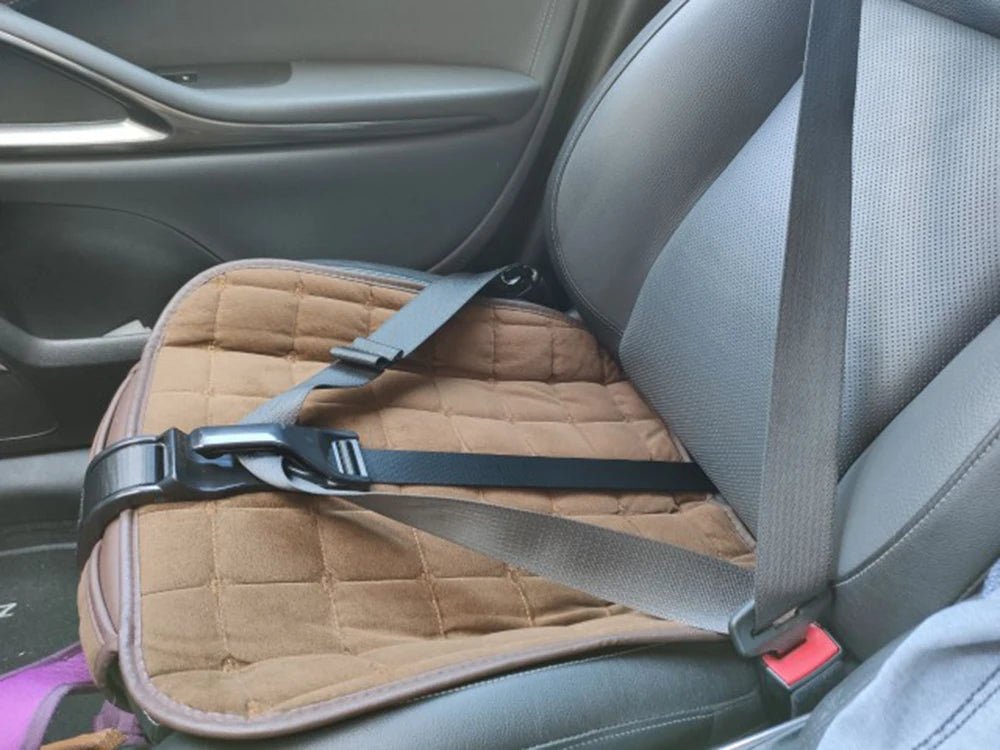 Adaptateur Ceinture Voiture Grossesse 5 Couleurs – Sécurité & Confort Ventre Femme Enceinte | Noir Rose Violet