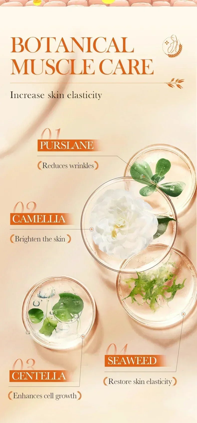 Crème Effacement Vergetures Rouges & Blanches – Anciennes & Récentes | Soin Grossesse & Post-Partum